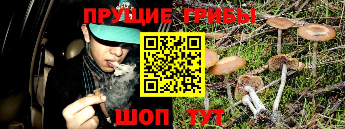 Псилоцибиновые грибы MAGIC MUSHROOMS  Псилоцибиновые грибы GOLDEN TEACHER  Вход с VPN  Тула 