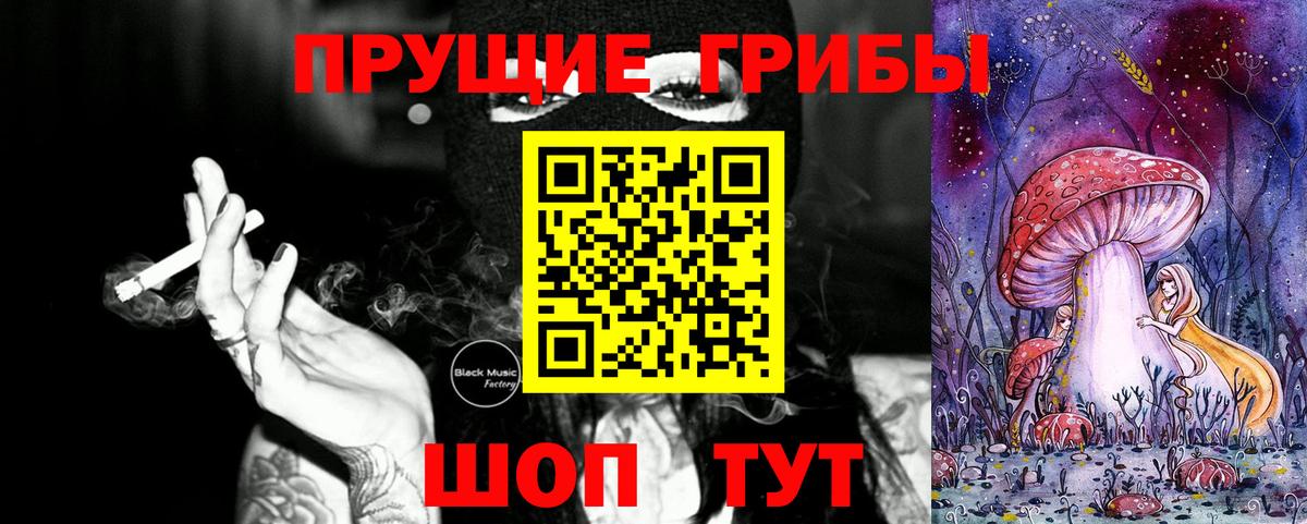 Псилоцибиновые грибы Psilocybine cubensis Тула
